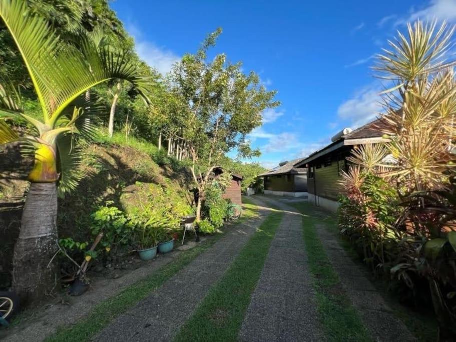 Tehuarupe Surf Studios Haapiti Exterior photo