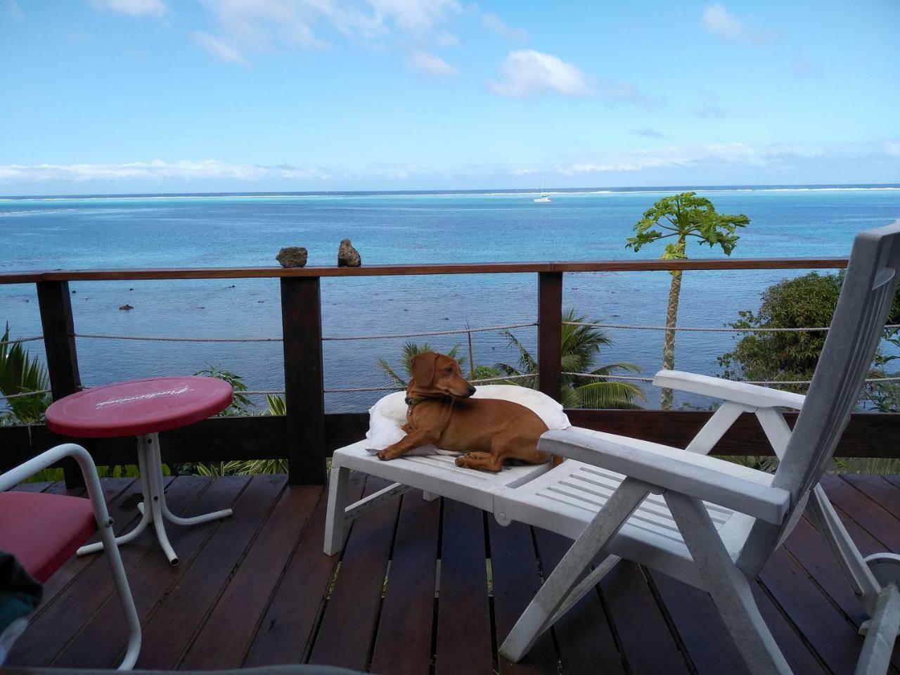 Tehuarupe Surf Studios Haapiti Exterior photo